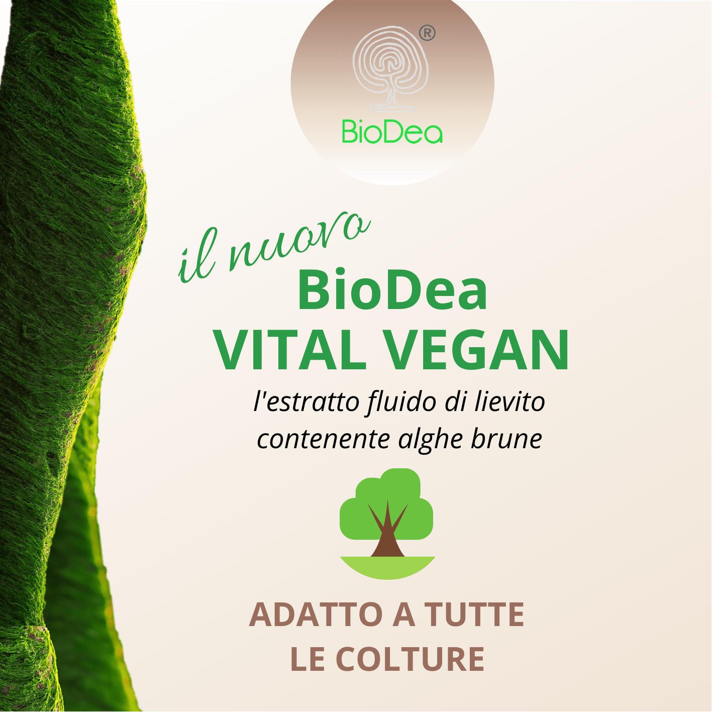nuovo biodea vital vegan nuovo biodea vital vegan