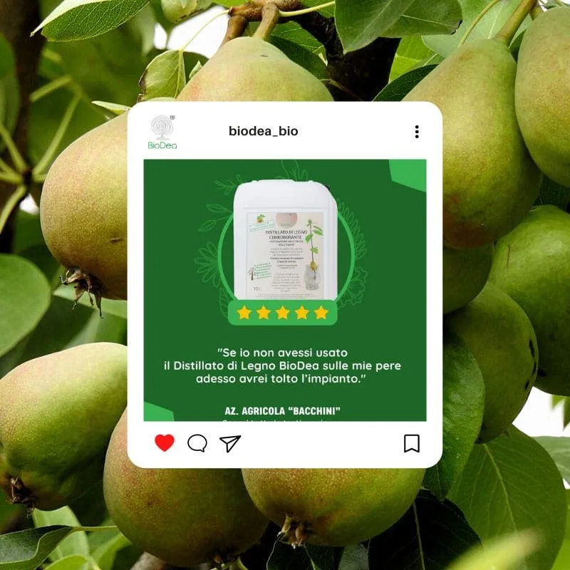 biodea recenzioni bioesperia (3) recenzioni biodea